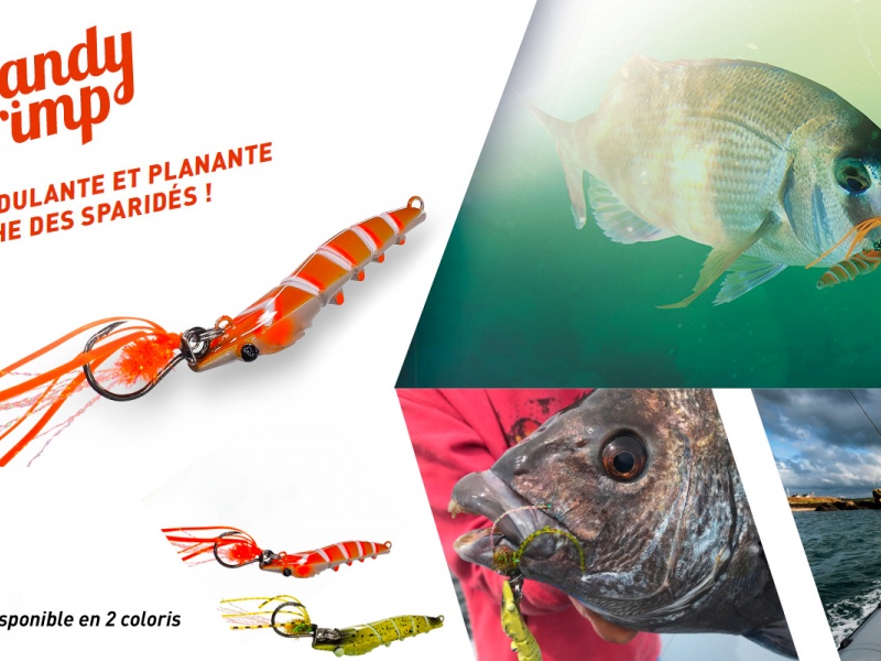 annonce_rapala_candy-shrimp-fiiish-1600x800.jpg Aucune description