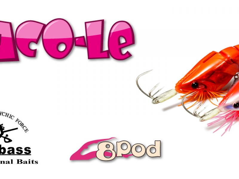 annonce_taco-le-megabass-1600x800.jpg Aucune description