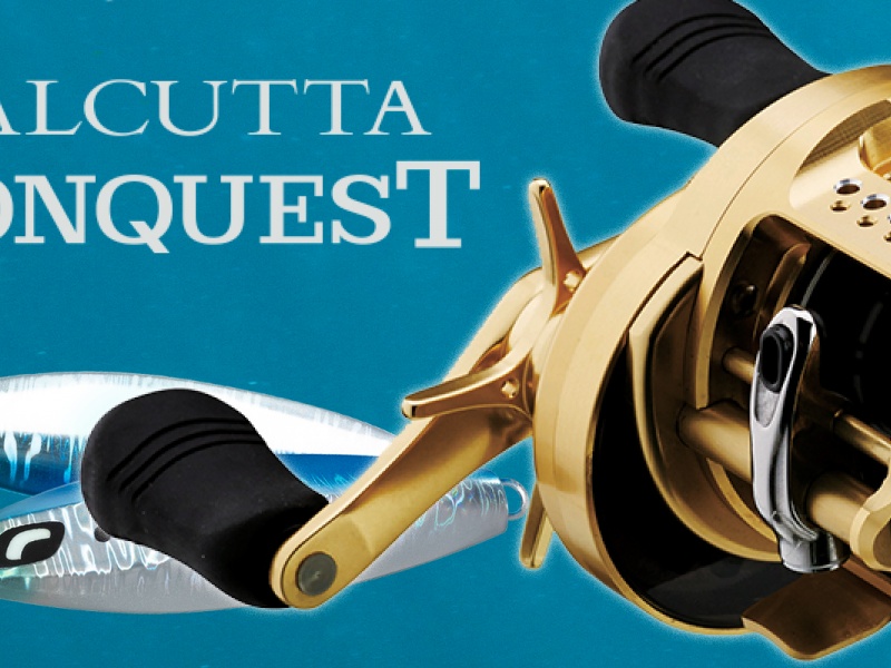 calcutta-conquest-ocea-butterfly-1600x800.jpg Aucune description