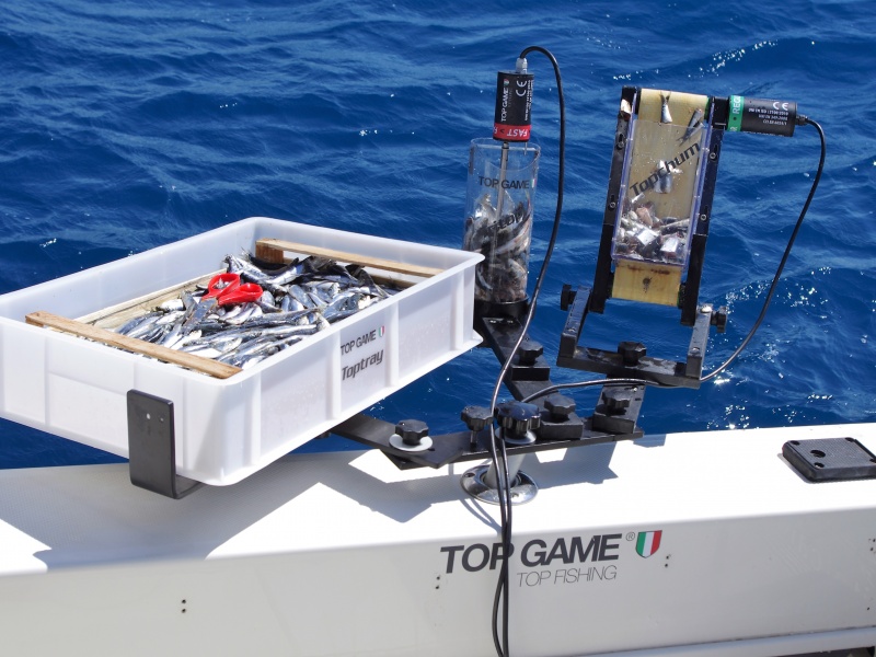 Combiné broyeur / distributeur Top Sea en pêche