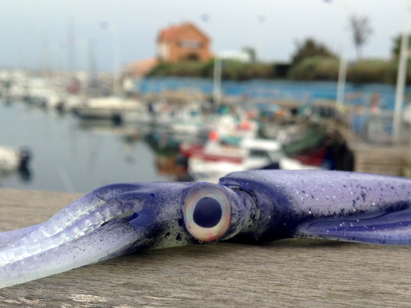 Le Kraken UV Violet en Essai dans le port de Sausset