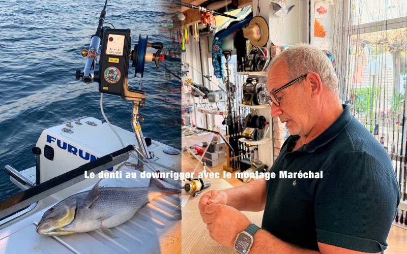 La pêche au denti en traine profonde avec le montage Maréchal