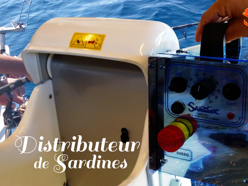 Aucune description