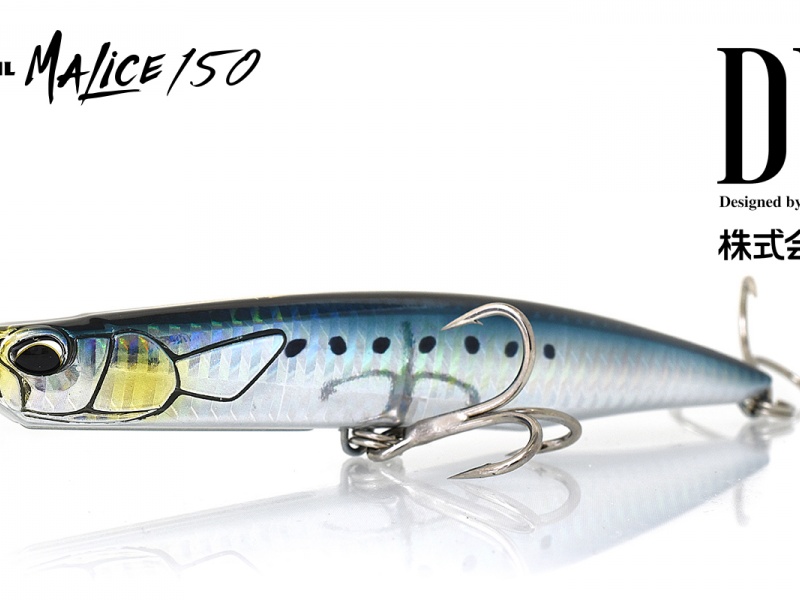duo-roughtrailmalice150-sardinecha0011-presentation.jpg Aucune description