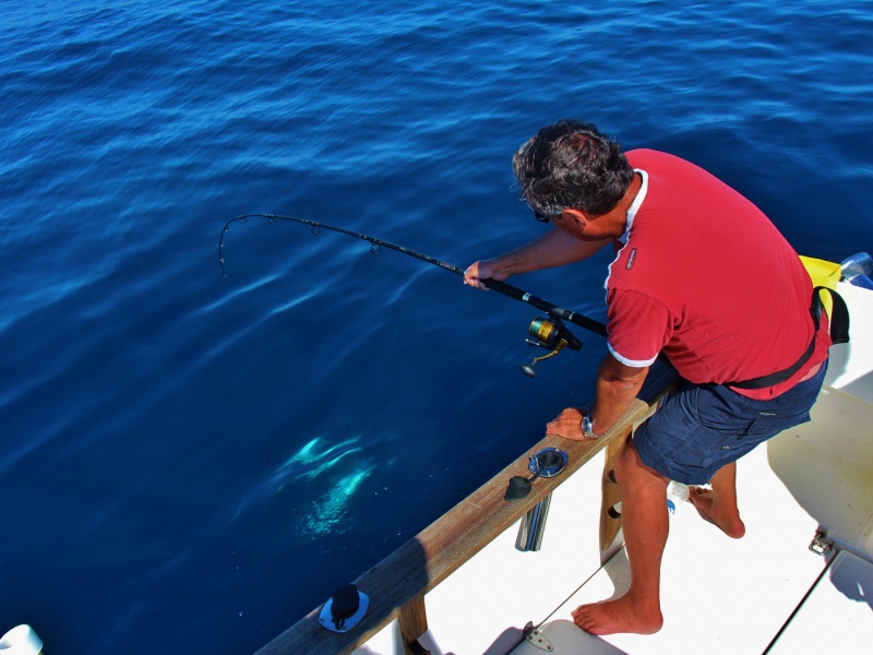 Pêche au thon avec Spinfisher 6500
