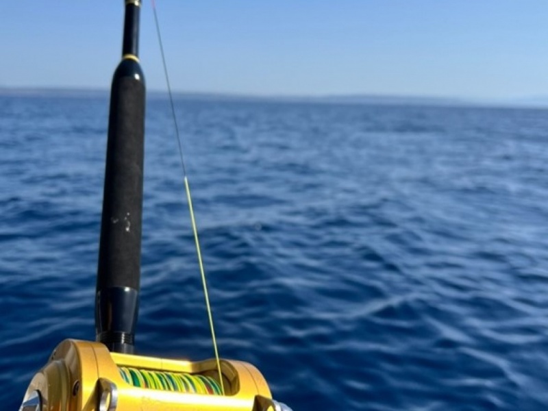 Le Gladiator de chez Italcanna l’excellence italienne ...