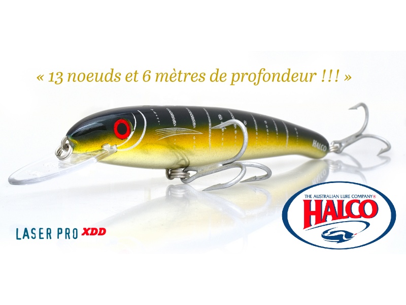 leurre-halco-laser-pro-190-xdd-presentation.jpg Aucune description