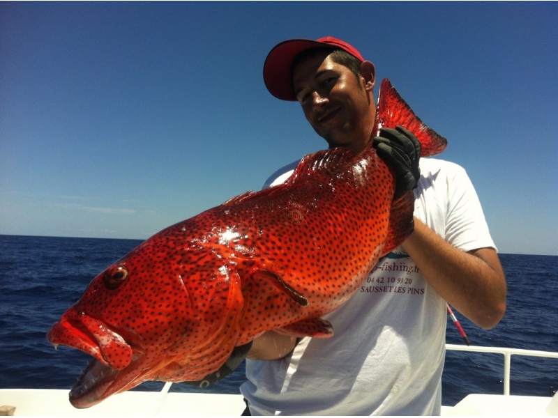 leurre heru wahoo en peche exotique avec bruno