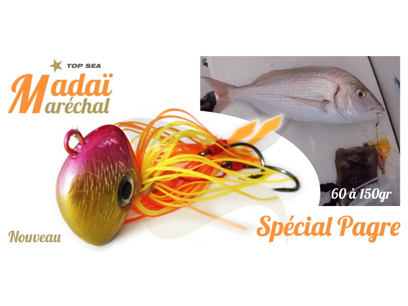 madai-marechal-1600x800-annonce.jpg Annonce Madaï Top Sea Maréchal