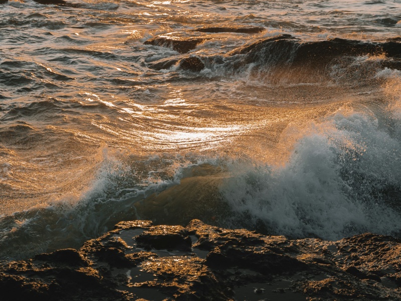 Mer agitée idéale pour la pêche des loups du bord