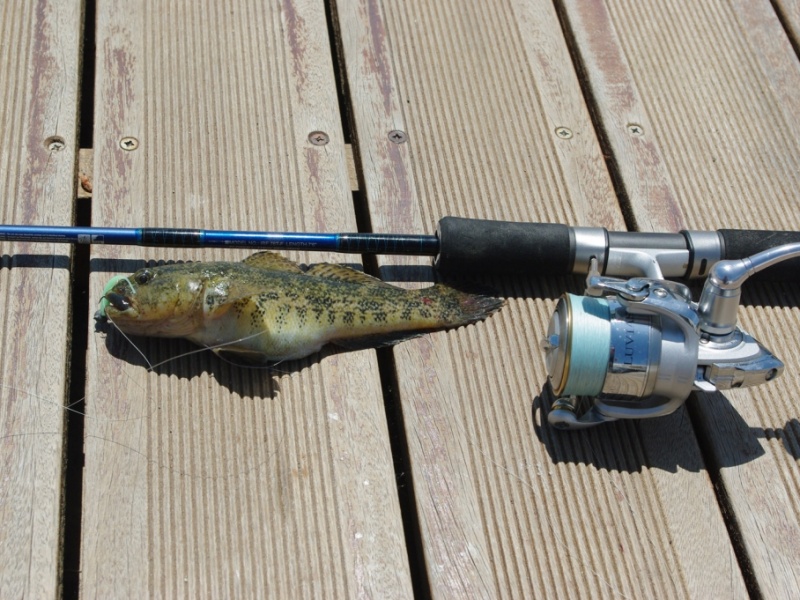 Equipement pour le rockfishing !