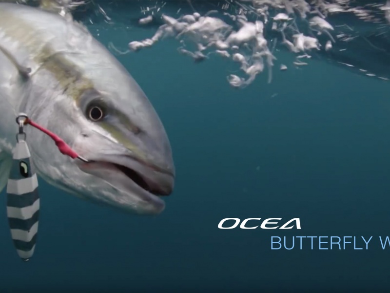 ocea-butterfly-wing-en-peche.jpg Aucune description