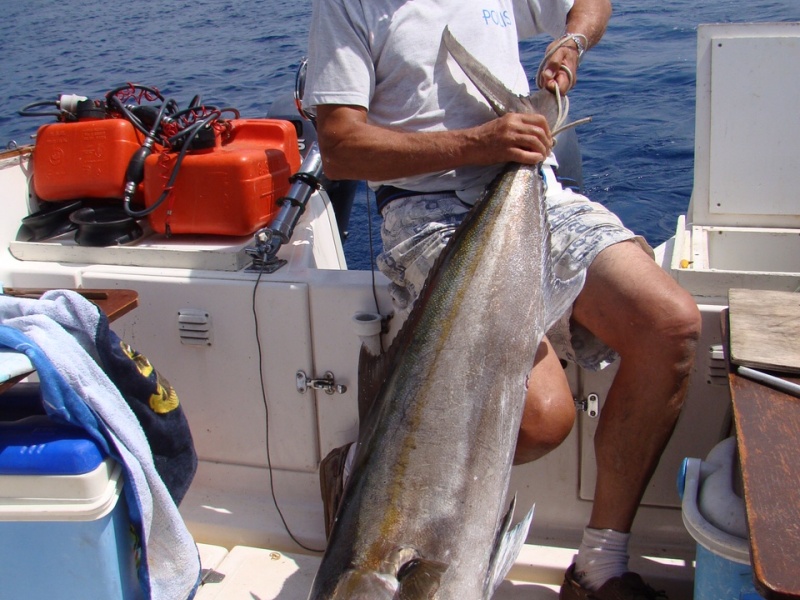 Une sériole de 25kg pêchée à la traine en corse par un client Top Fishing