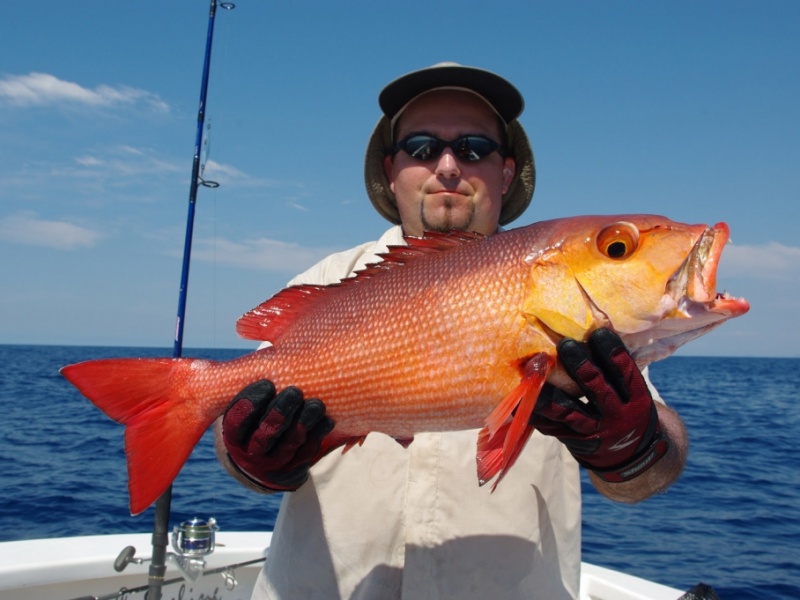 a madagascar les poissons sont incroyablement beaux