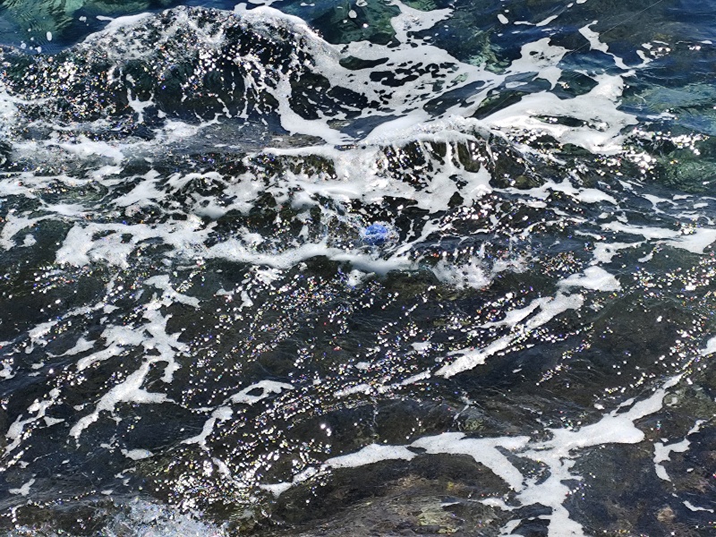 Pêche au buldo dans les vagues