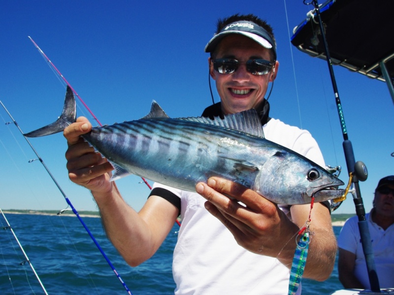 pélamides au casting jig after burner