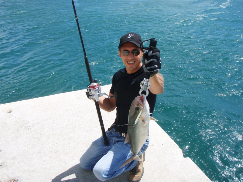petite-seriole-pris-en-shore-jigging-et-relachee-apres-la-photo.jpg Petite sériole prise en shore jigging et relâchée apres la photo