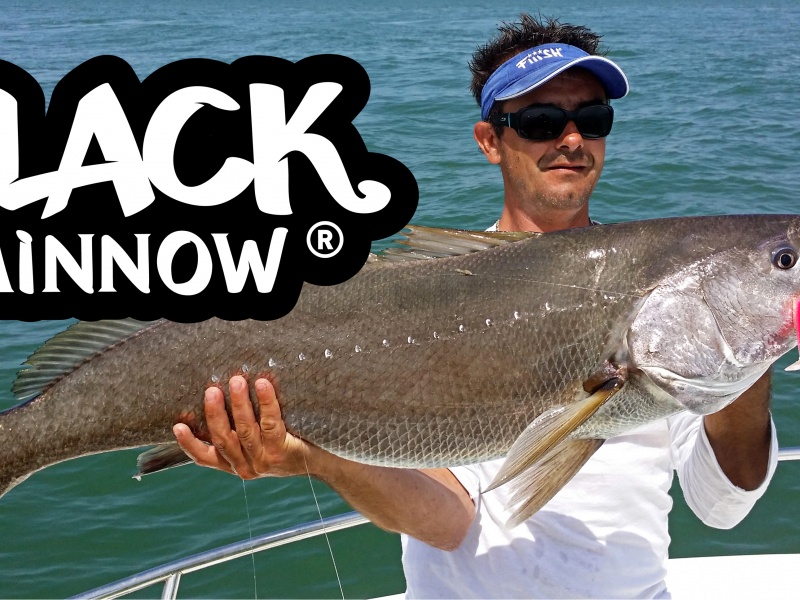 presentation-marque-fiiish-19-logo.jpg Encore un beau maigre qui a succombé au Black Minnow rose. Poisson de 9 kg pris par Will