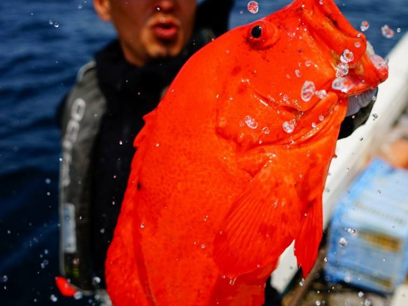 presentation_shimano__facebook_shimano_japon.jpg Les japonais sont férus de pêche !