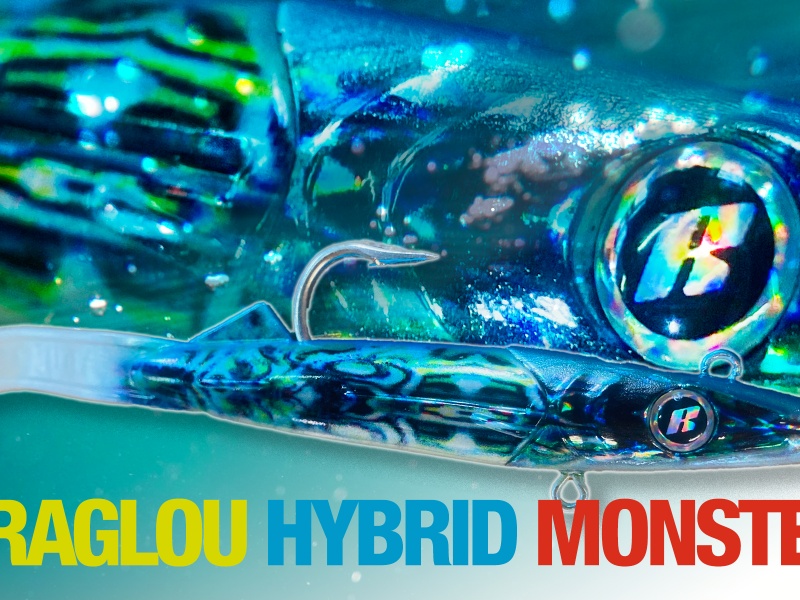 raglou-hybrid-monster-160.jpg Aucune description