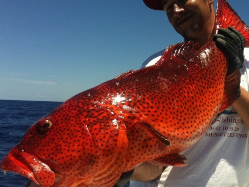 Même à Madagascar, Bruno et son SALTIGA font des ravages avec ce magnifique poisson d'un rouge puissant