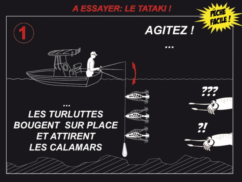 étape 1- schéma tataki avec bublin