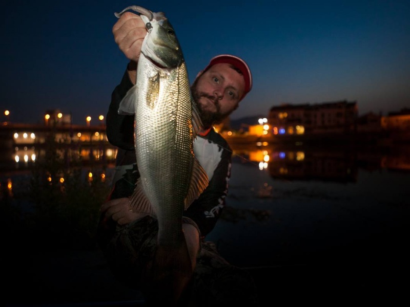 slit-shad-peche-crepuscule.jpg Slit shad au crepuscule