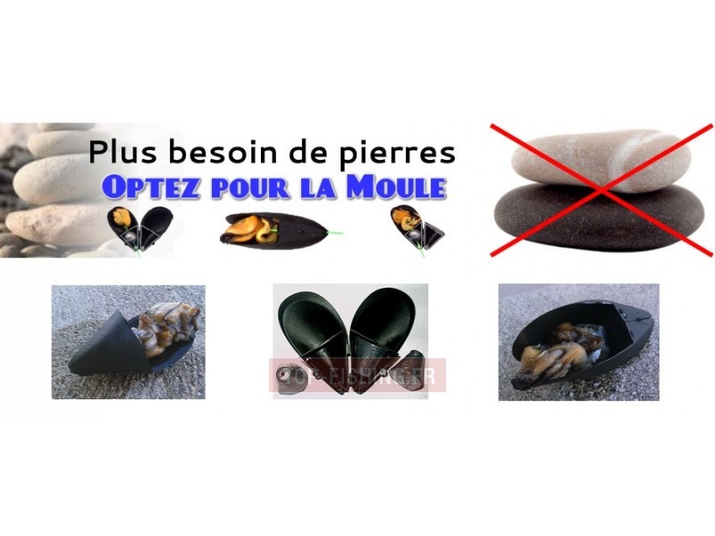 présentation de moule marseillaise