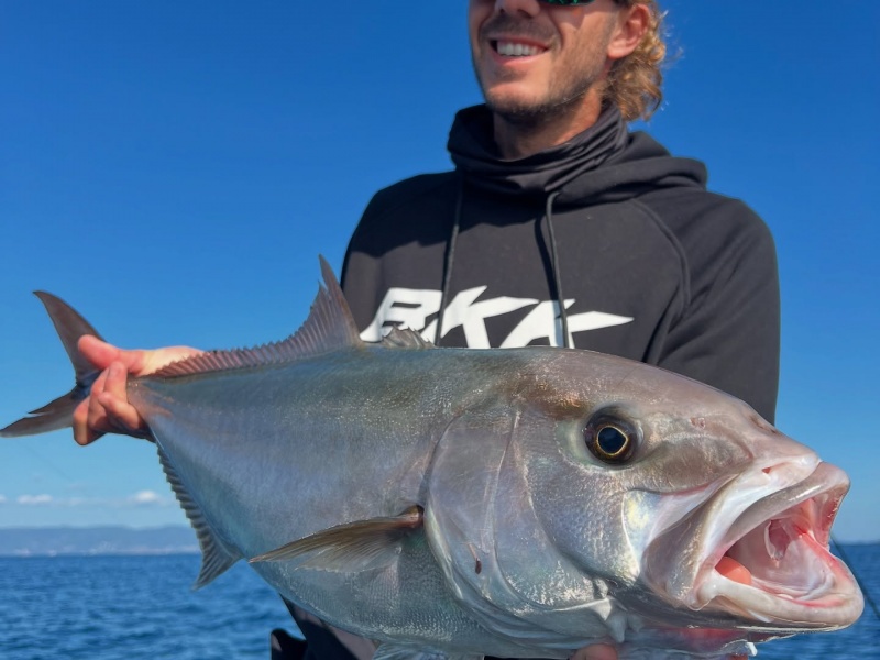 Une belle sériole !