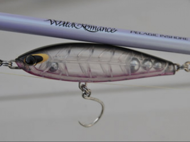 Williamson Surface pro Garziglia