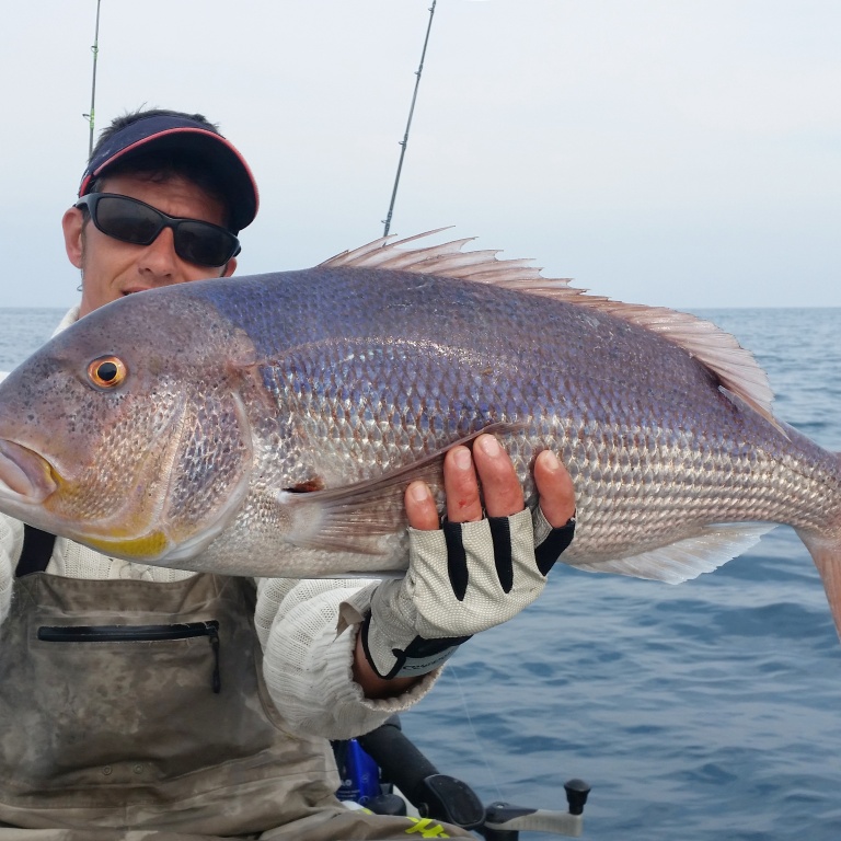Le Grumpy Fish Glowbite est idéal pour pêcher les sparidés carnassiers tels que ce denti !