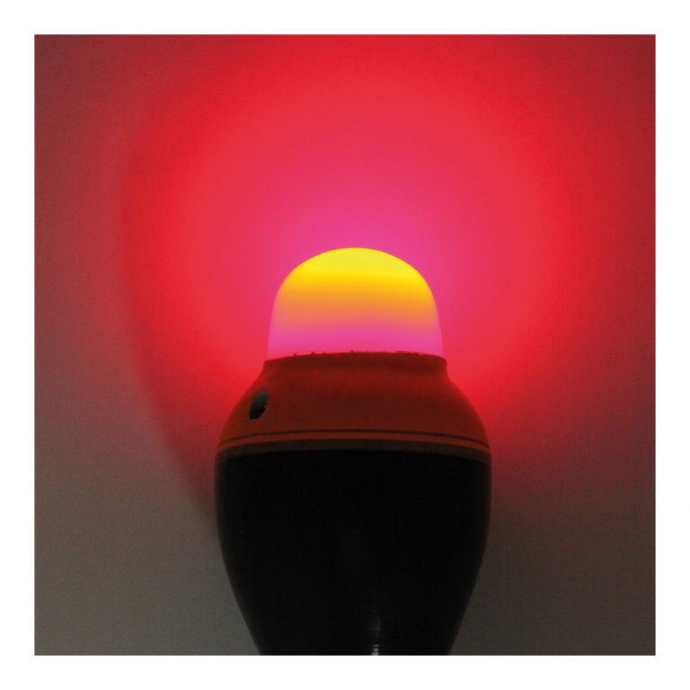 Le Flotteur électrique Cemoi Flashmer a 2 lumières (verte ou rouge) selon le sens d’insertion de la pile.