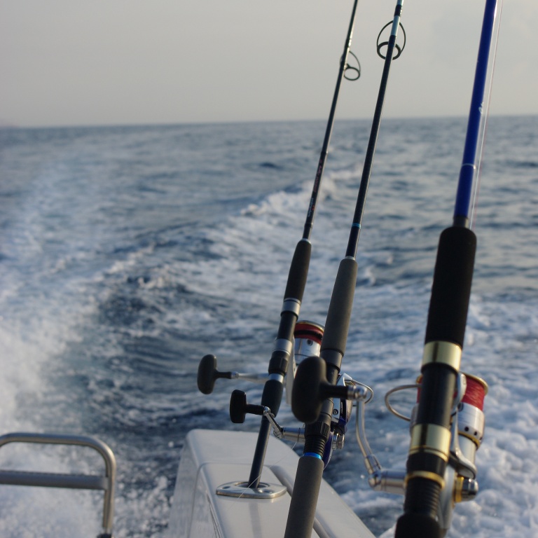 11-bateau.jpg pêche du bateau