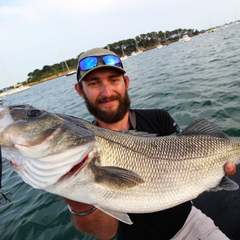 Le 3DB Jerkbait Yo-Zuri est d’une rare efficacité sur les beaux bars !