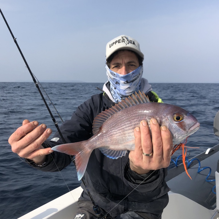 Beau pagre pris par Fabien Harbers au madaï jig avec l’Amazing Top Fishing !