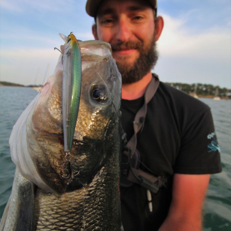 Gros bar pêché au 3DB Jerkbait Yo-Zuri !