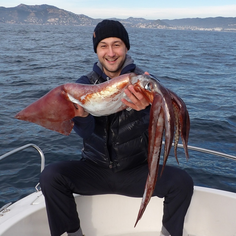2-calamar-rouge-7kg-stagiaires-.jpg Ce calamar rouge de 7 kg pris par un des stagiaires du guide de pêche Fabien Harbers montre combien ces céphalopodes peuvent devenir gros !