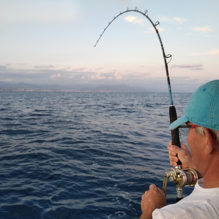 La technique du downrigger permet de combattre le poisson sans plomb et de pêcher plus light : plaisir garanti ! 