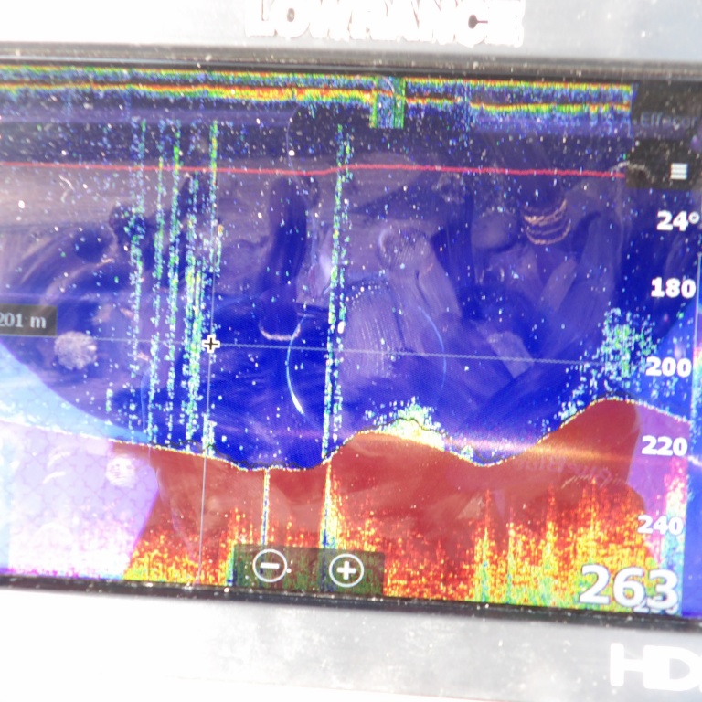 Des fonds compris entre 200 et 300 m sont parfaits pour la pêche des dorades roses
