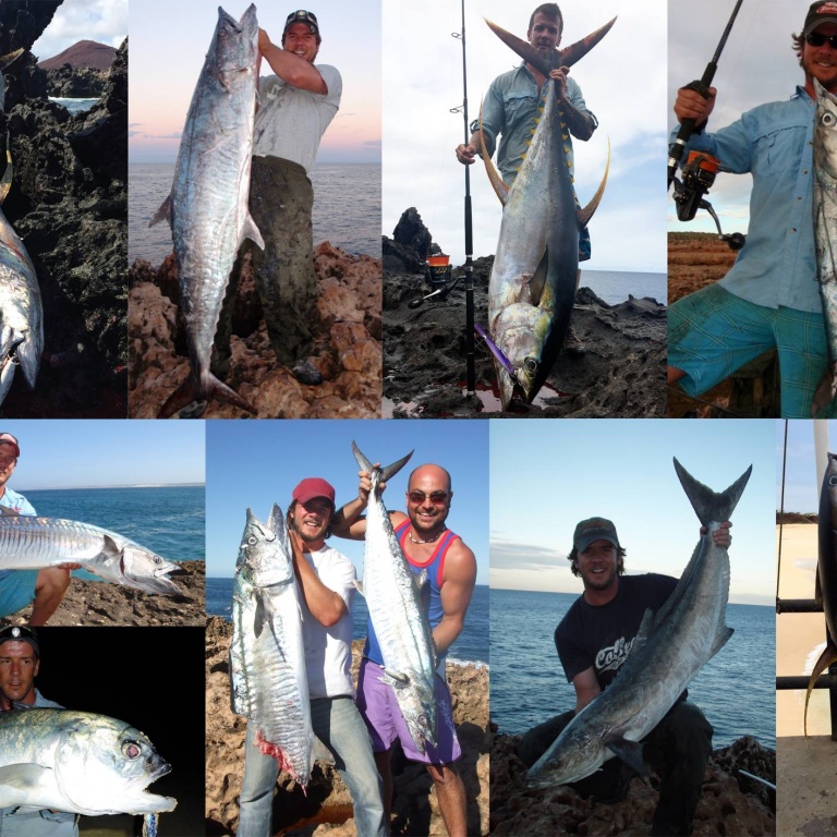 Tous ces poissons ont été pris avec de la KG Strong WFT