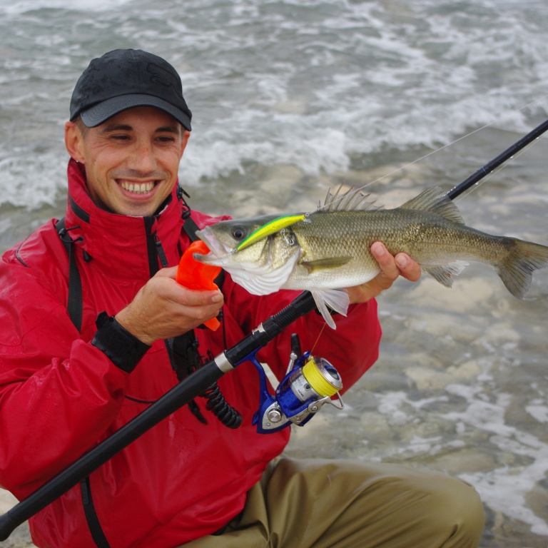 216-3-1-le-seabass-college-est-ideal-pour-les-pateaux-rocheux.jpg Le Seabass college est idéal pour les pateaux rocheux