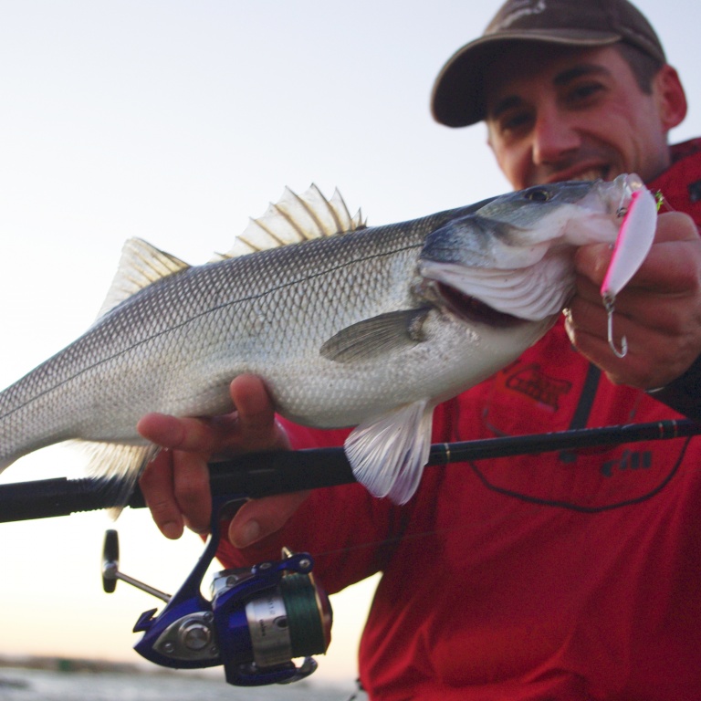 Bar pris au flashminnow 110 armé avec des hameçons simple single 27 Decoy