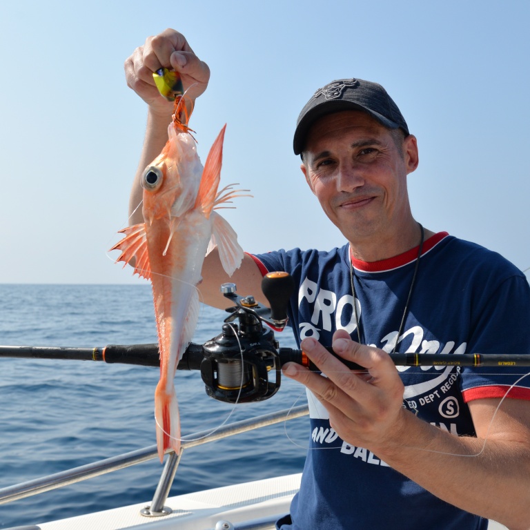 Un grondin rouge pris au madaï jig. Afin de le distinguer du grondin perlon, sachez que le grondin rouge a un front plus abrupt et que ses pectorales sont petites et de couleur unie.