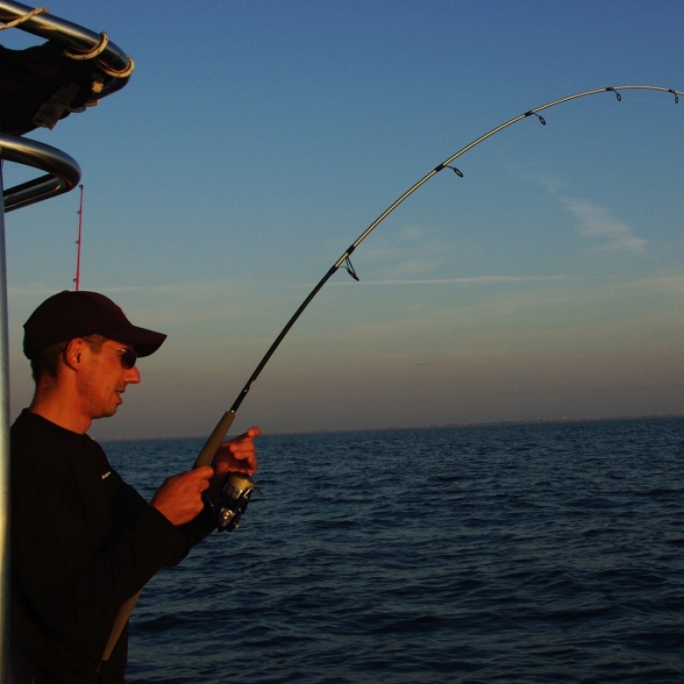 8 braid daiwa même en 12 centièmes elle supporte du lourd