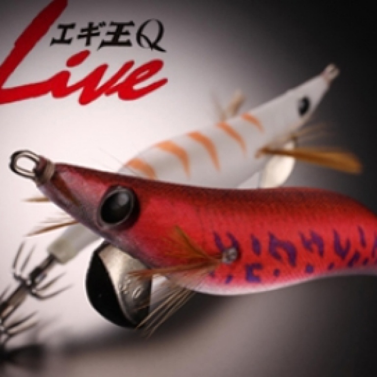 actua-yamashita-2013-main.jpg