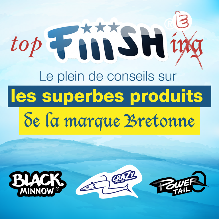 annonce_dossier_fiiish_newsletter.png Aucune description