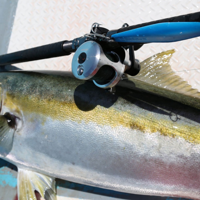 Okuma Fishing
