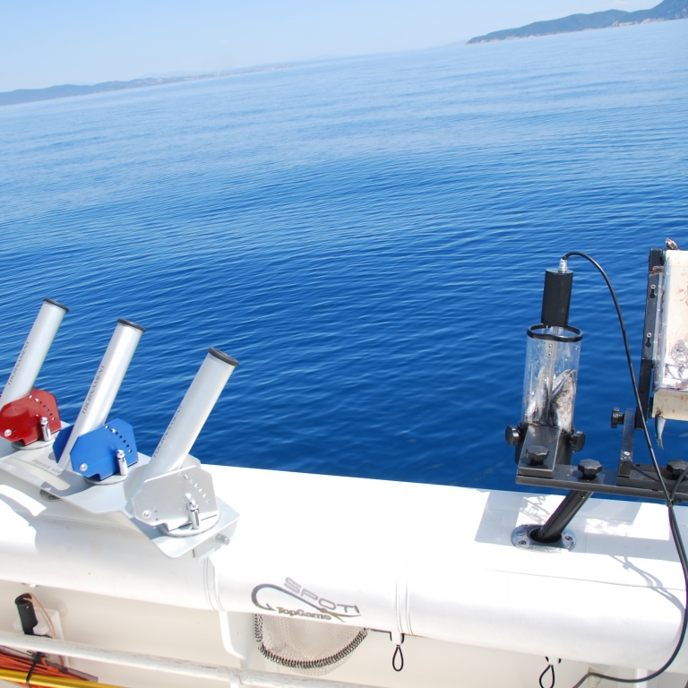 Combiné broyeur / distributeur Top Sea en pêche avec porte canne