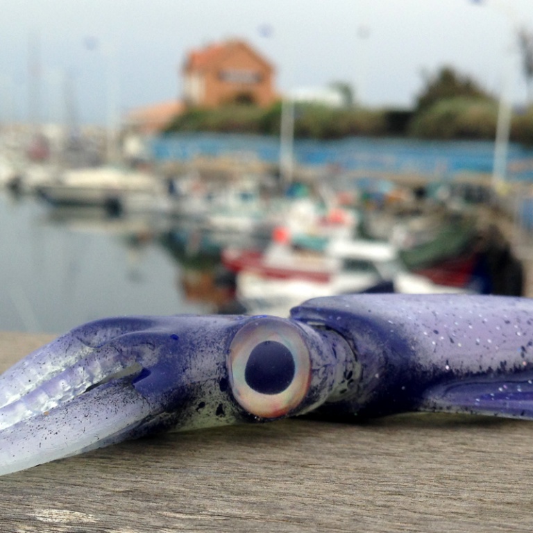 Le Kraken UV Violet en Essai dans le port de Sausset
