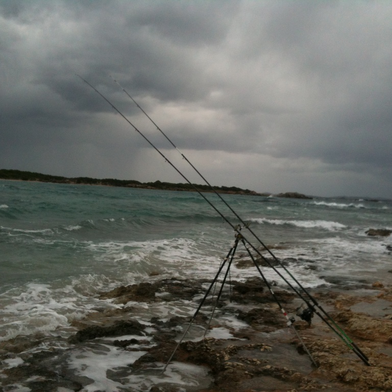 Par mer agitée et en pêche au dessus du fond, privilegiez les aberdeens